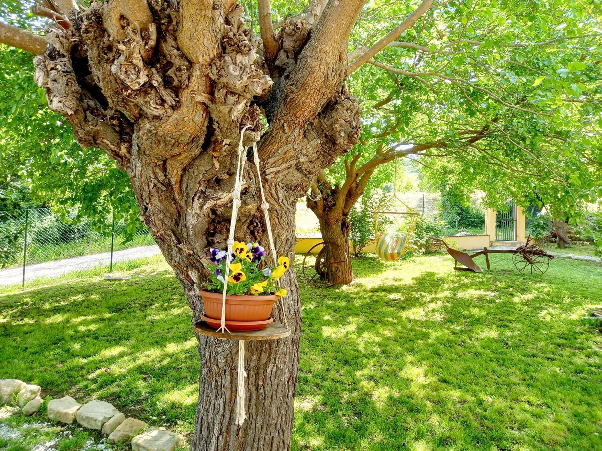 Il Casale Di Aurora Country House Colmurano Екстериор снимка