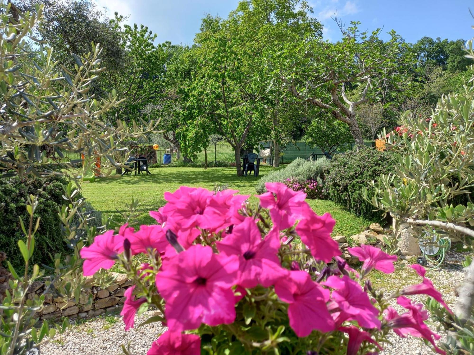 Il Casale Di Aurora Country House Colmurano Екстериор снимка