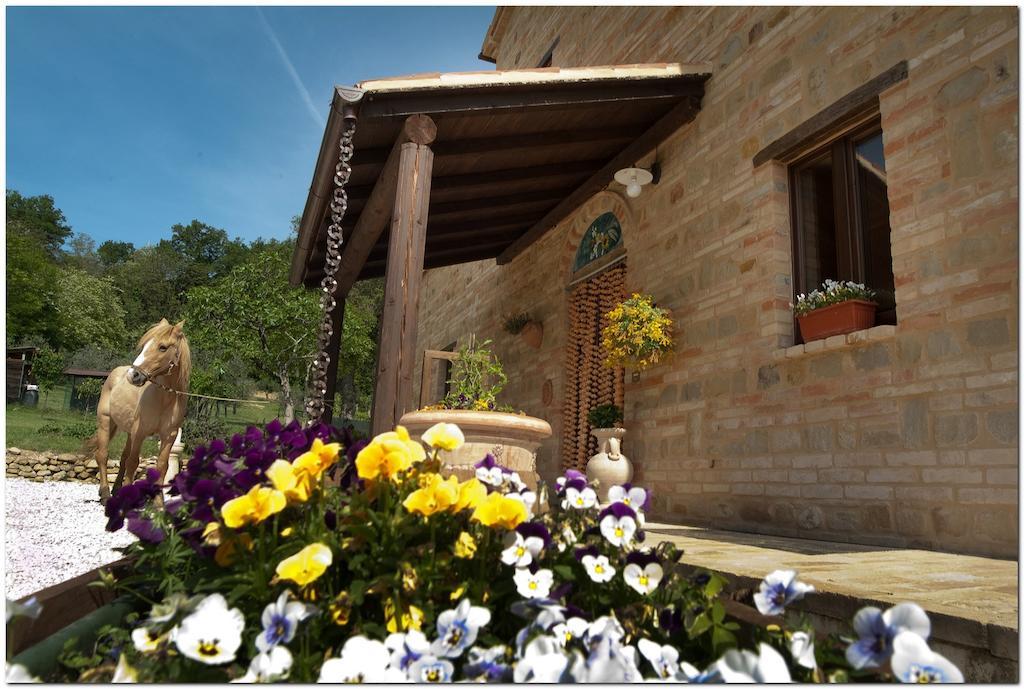 Il Casale Di Aurora Country House Colmurano Екстериор снимка