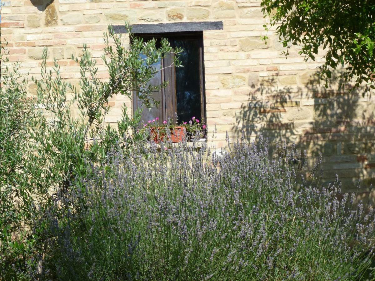 Il Casale Di Aurora Country House Colmurano Екстериор снимка